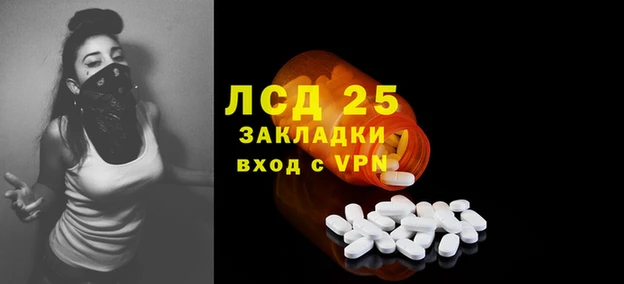 дмт Арсеньев
