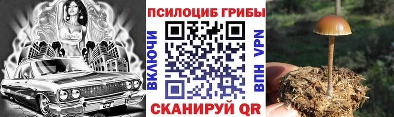 Псилоцибиновые грибы ЛСД  Усолье-Сибирское 
